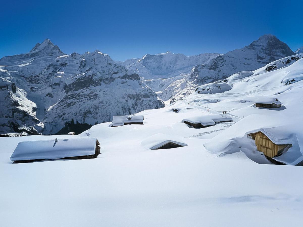 Apartment Chalet La Muntaniala By Interhome Grindelwald Exterior foto
